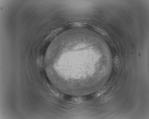 X0000062170423200601061045