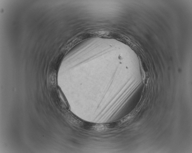 X0000062170425200601061045