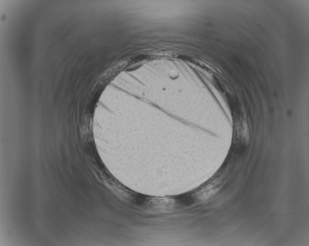 X0000062170429200601061045