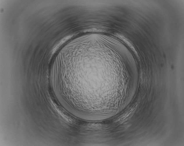 X0000062170437200601061045