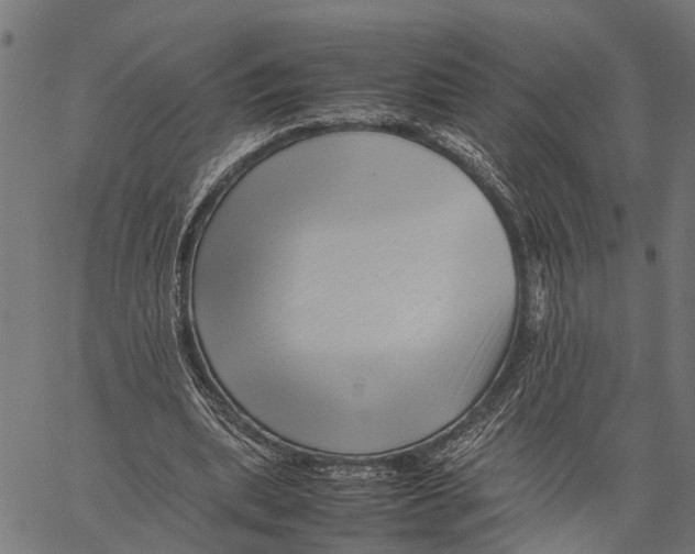 X0000062170439200601061045