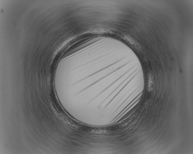 X0000062170440200601061045