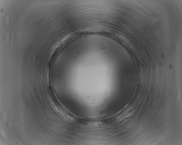 X0000062170446200601061045