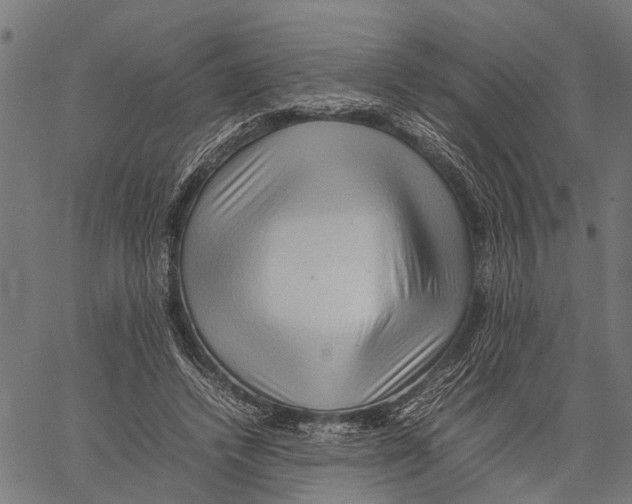 X0000062170448200601061045