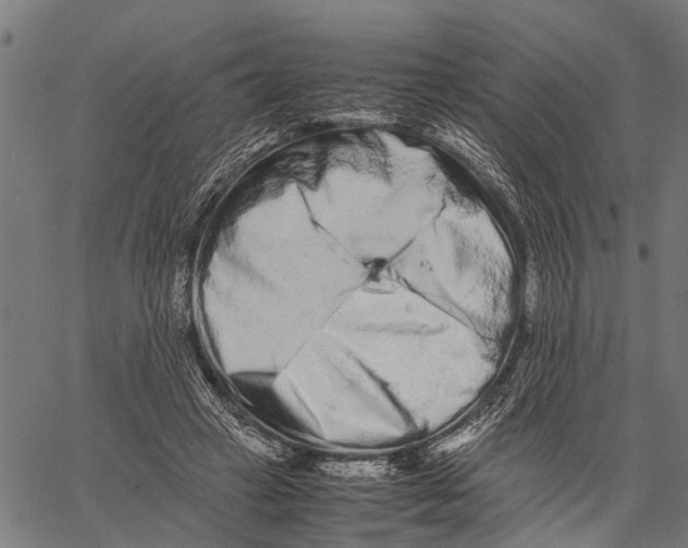 X0000062170449200601061045