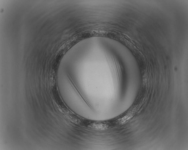 X0000062170464200601061045
