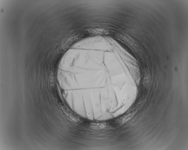 X0000062170469200601061045