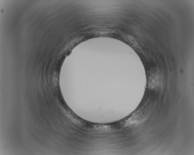 X0000062170476200601061045