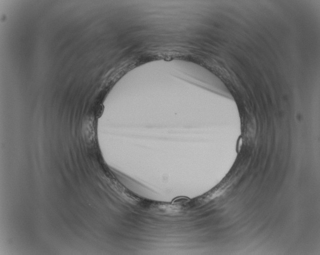 X0000062170478200601061045