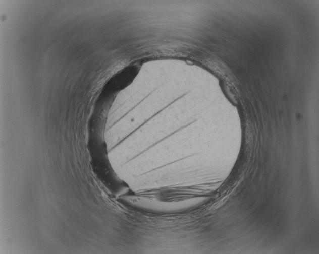 X0000062170481200601061045