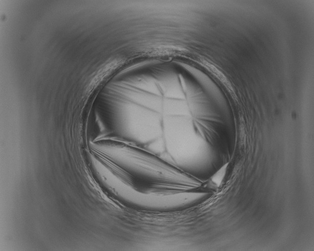 X0000062170485200601061044