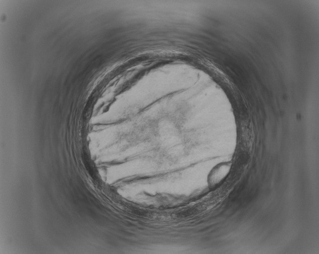 X0000062170487200601061044