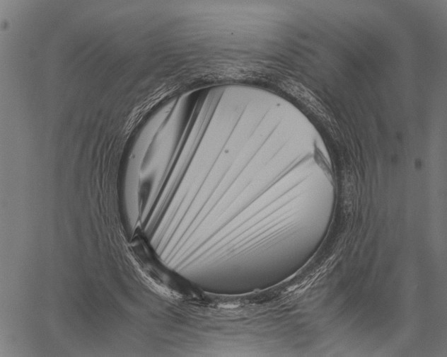 X0000062170489200601061044