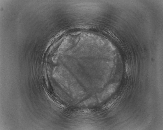 X0000062170492200601061044