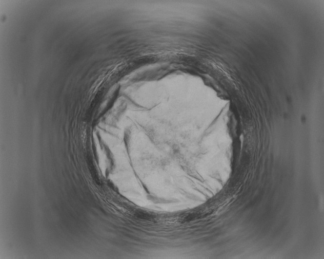 X0000062170495200601061044
