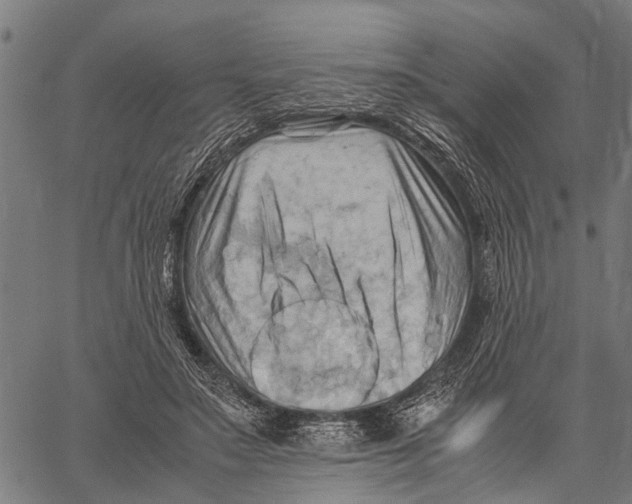 X0000062170499200601061044