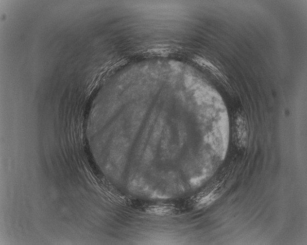 X0000062170504200601061044