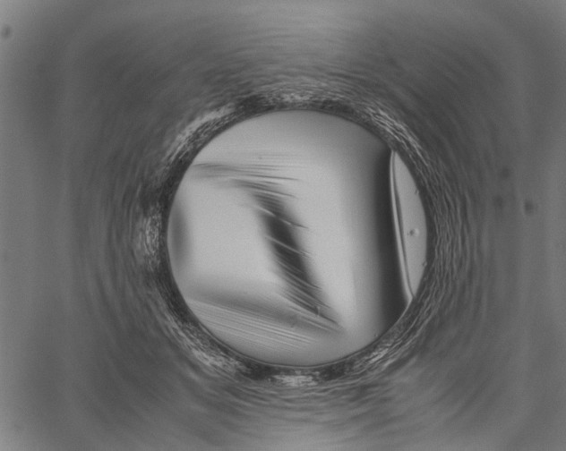 X0000062170509200601061044