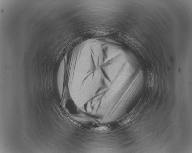X0000062170512200601061044