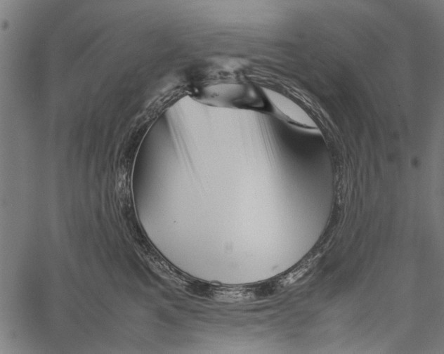 X0000062170521200601061044
