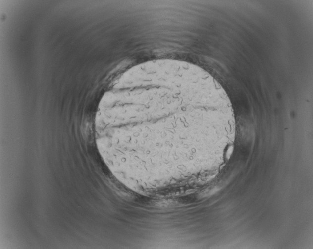 X0000062170527200601061044