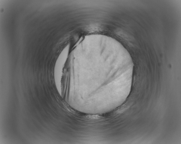 X0000062170528200601061044