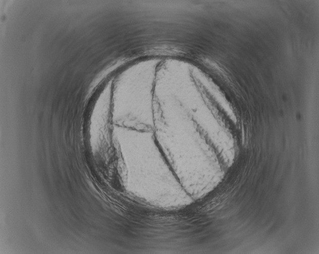 X0000062170531200601061043