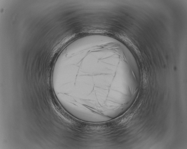 X0000062170533200601061043