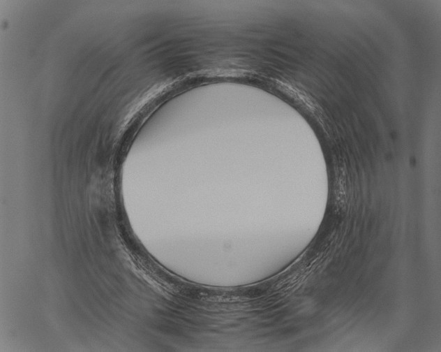 X0000062170535200601061043