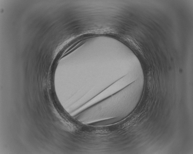 X0000062170536200601061043