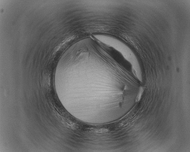 X0000062170539200601061043