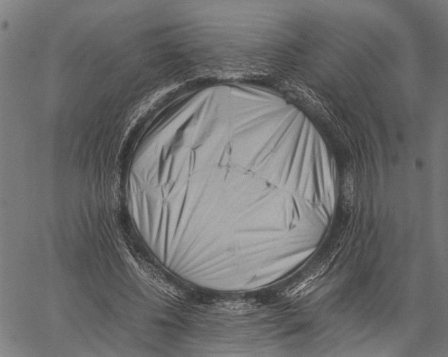 X0000062170540200601061043