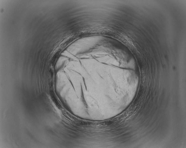 X0000062170542200601061043