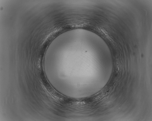 X0000062170543200601061043