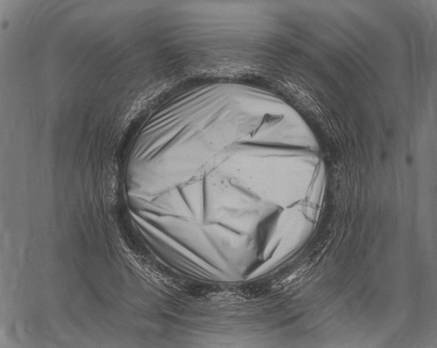 X0000062170544200601061043