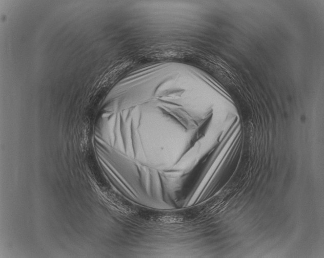 X0000062170546200601061043