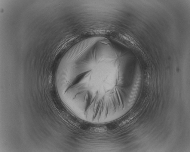 X0000062170548200601061043