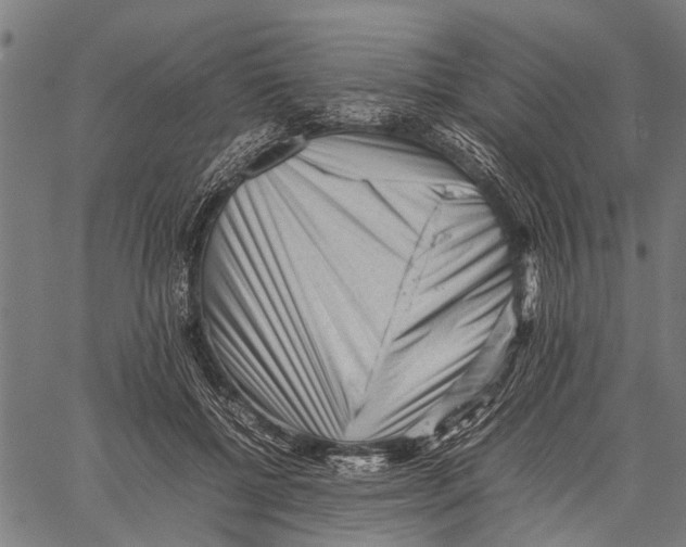 X0000062170552200601061043