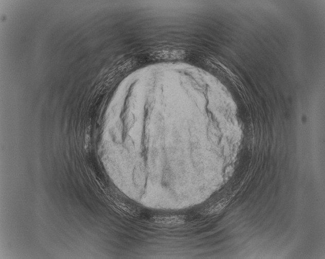 X0000062170553200601061043