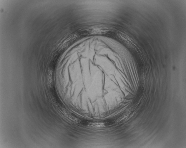 X0000062170554200601061043