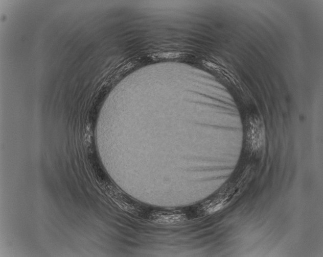 X0000062170555200601061043