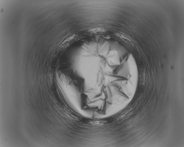 X0000062170558200601061043