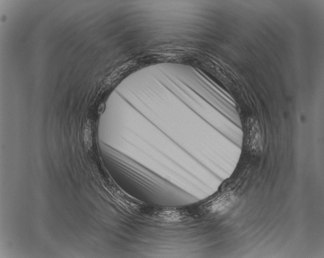 X0000062170562200601061043