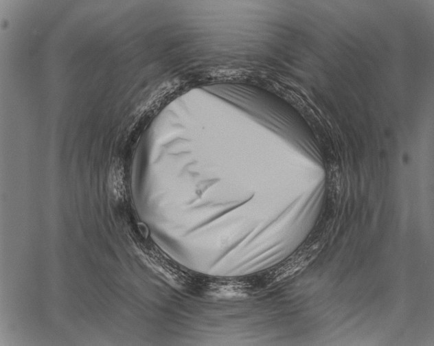 X0000062170564200601061044