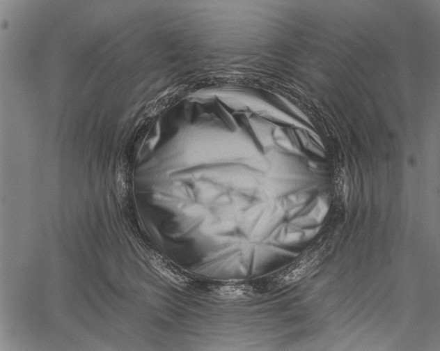 X0000062170566200601061044