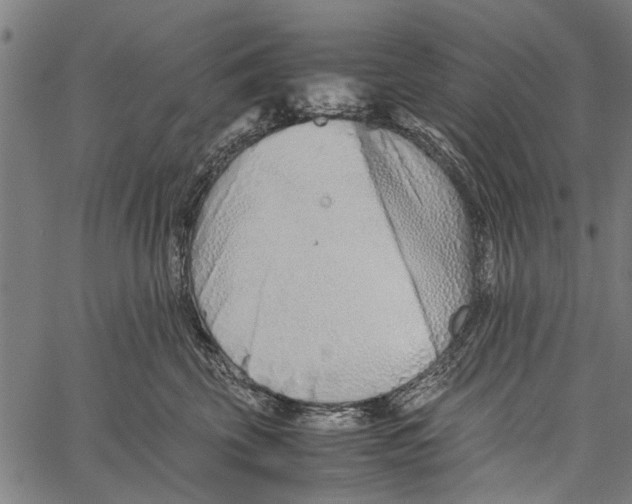 X0000062170569200601061044
