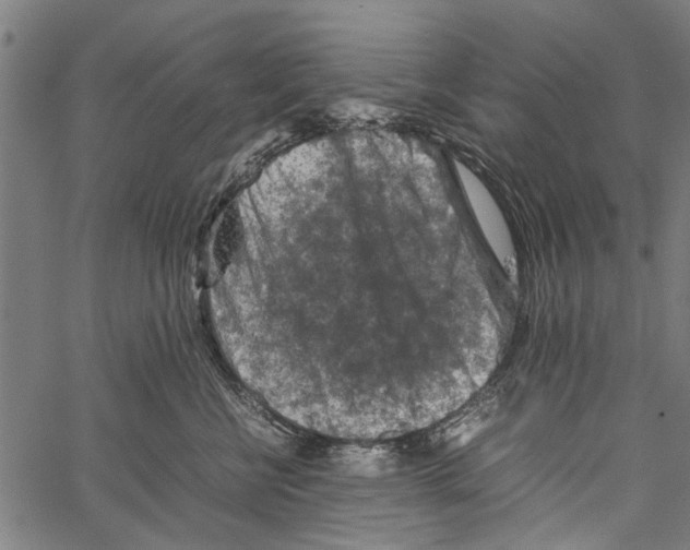 X0000062170570200601061044