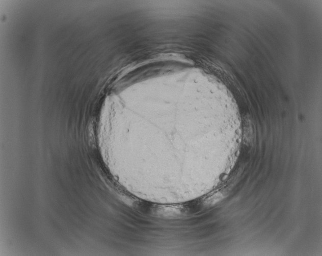 X0000062170573200601061044