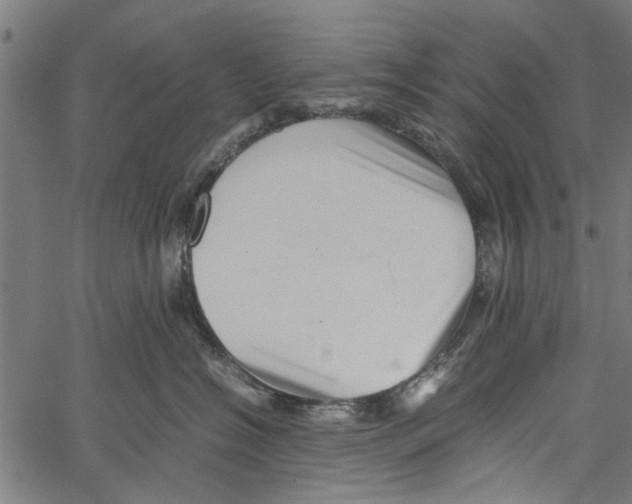 X0000062170574200601061044