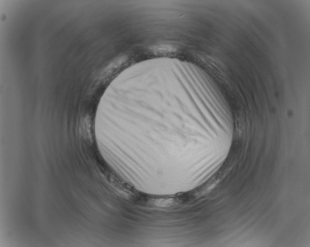 X0000062170575200601061044